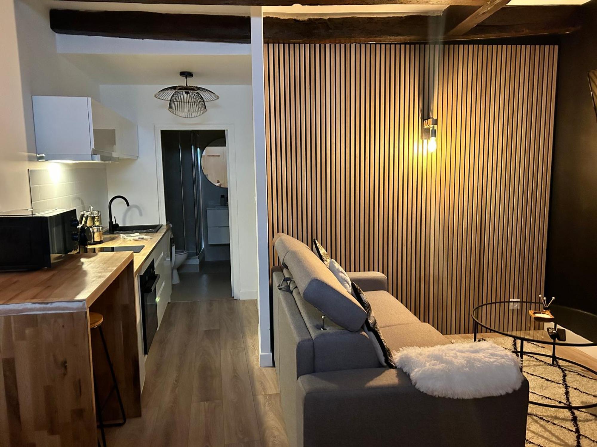 Le Petit Niortais - Centre Ville - Wifi - Netflix - Amazon Exterior photo